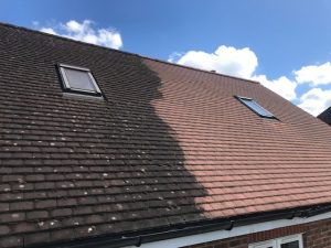 roof-cleaning