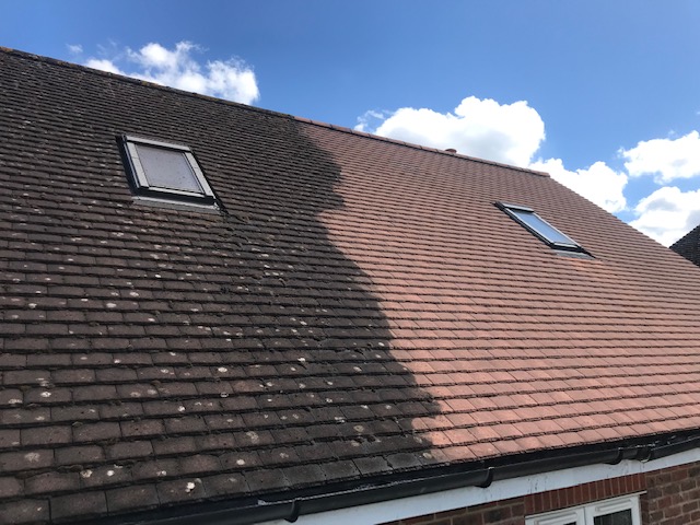 roof-cleaning